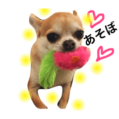[LINEスタンプ] 忠犬パゲ公のスタンプ 2