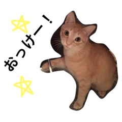 [LINEスタンプ] みりんさんの日々〜