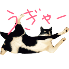 [LINEスタンプ] お銀さん