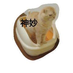 [LINEスタンプ] ちんさんスタンプ