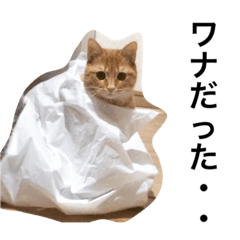 [LINEスタンプ] われは猫なり vol.1