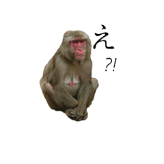 [LINEスタンプ] ヤンチャっちゃー