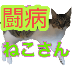 [LINEスタンプ] 闘病ねこさん