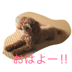 [LINEスタンプ] メルちゃんスタンプ