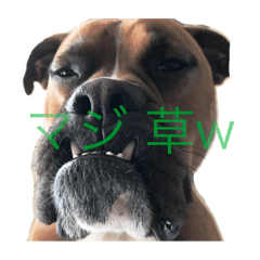 [LINEスタンプ] ハマダです…。②