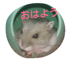 [LINEスタンプ] ハムタン