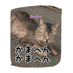 [LINEスタンプ] 大阪さくら猫2