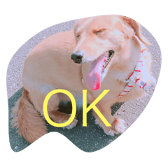 [LINEスタンプ] エルラッキー