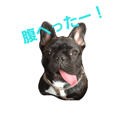 [LINEスタンプ] フレブル『ポンすけ』