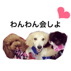 [LINEスタンプ] ラム、おこげ.3
