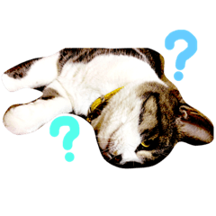 [LINEスタンプ] ころすけスタンプ2