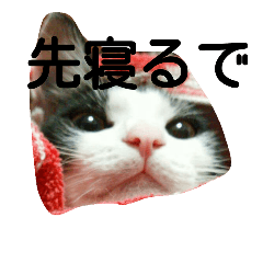 [LINEスタンプ] あまぐりとどんぐり