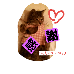 [LINEスタンプ] あい 1