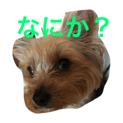 [LINEスタンプ] かわいいウラン2