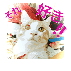 [LINEスタンプ] ミャーたん おすまし編