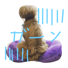 [LINEスタンプ] わんこずさ