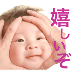 [LINEスタンプ] うちの子達❤2 ～3ヶ月