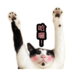 [LINEスタンプ] siao miao