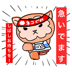 [LINEスタンプ] 保護ニャン小次郎 手描き其の2