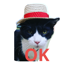 [LINEスタンプ] はちわれ猫 たび 2