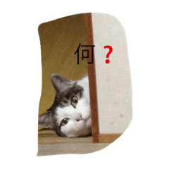 [LINEスタンプ] ネオちゃん