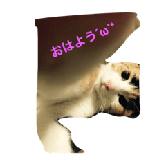 [LINEスタンプ] 我が家の麦ちゃん♪