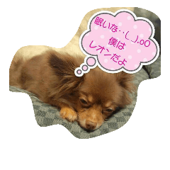 [LINEスタンプ] かわいい！わんこ