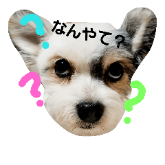 [LINEスタンプ] むさんぷ