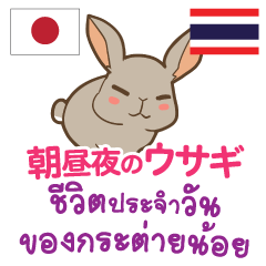 [LINEスタンプ] 朝昼夜のウサギ日本語タイ語