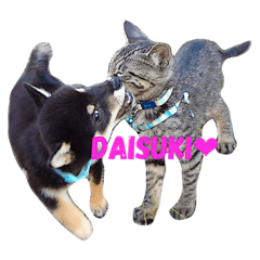 [LINEスタンプ] 犬猫好きな人用