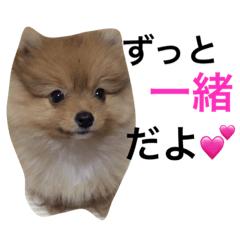 [LINEスタンプ] ちびるるの画像（メイン）