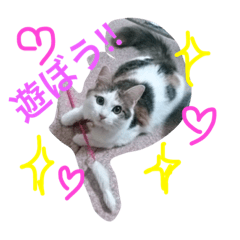 [LINEスタンプ] ひふみさんちのムギさん