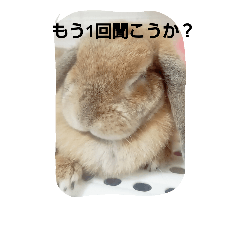 [LINEスタンプ] ムウちゃんのつぶやきスタンプ