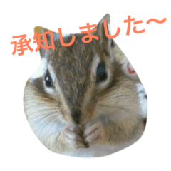 [LINEスタンプ] 癒されるスタンプ