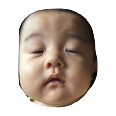 [LINEスタンプ] ちゃまたろう