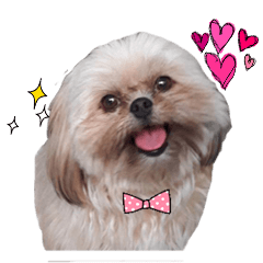 [LINEスタンプ] browniefb