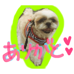 [LINEスタンプ] 風太くん
