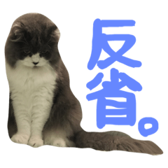 [LINEスタンプ] ハルナツコレクション