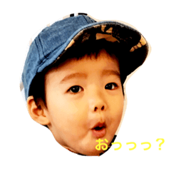[LINEスタンプ] あおはんスタンプ