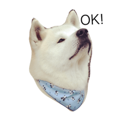 [LINEスタンプ] ボスと仲間たち