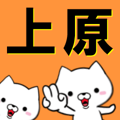 [LINEスタンプ] 超★上原(うえはら・ウエハラ)なイヌ