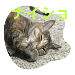 [LINEスタンプ] むぎとクロ2