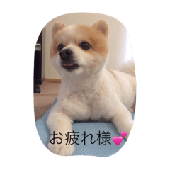 [LINEスタンプ] パンコスペシャル