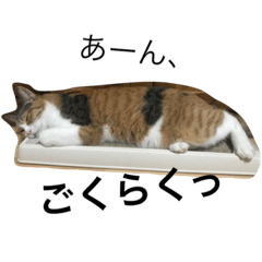 [LINEスタンプ] うちの動物たち