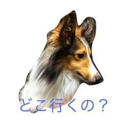 [LINEスタンプ] リッキーの気分