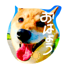 [LINEスタンプ] ぽんたあいさつ