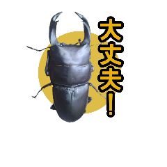 [LINEスタンプ] 生き物 昆虫スタンプ