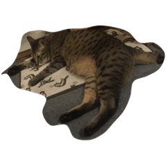 [LINEスタンプ] 長い猫たろう