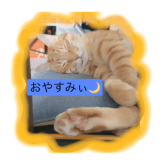[LINEスタンプ] スィールくんとサフィルちゃん