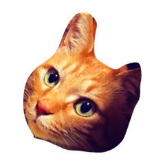 [LINEスタンプ] 猫の茶々丸くん